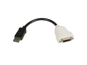 Startech.com Displayport Naar Dvi Video Adapter Converter ( Dp2dvi )